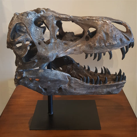 T-REX Skull Replica