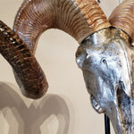 Rams Skull on Stand