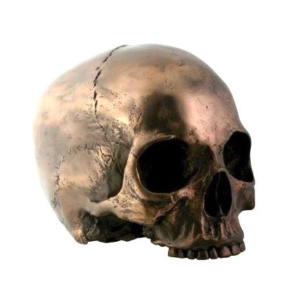 Polished Bronze Jaw-less Skull