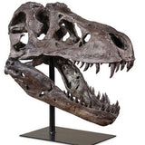 T-REX Skull Replica